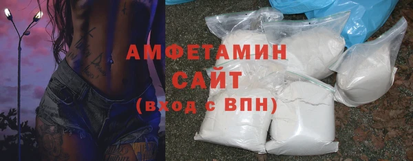 мет Алексин