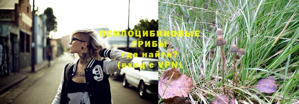 мет Аркадак