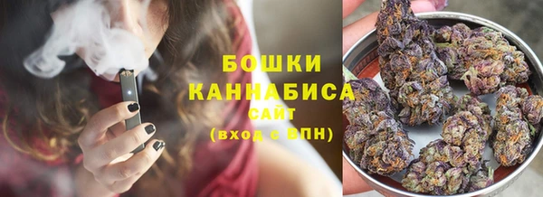 PSILOCYBIN Алзамай
